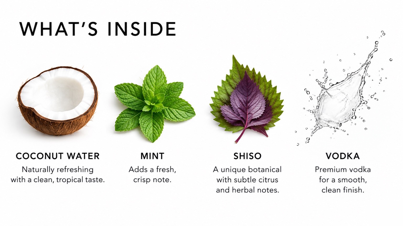 What’s inside TOAST: coconut water, mint, shiso and vodka